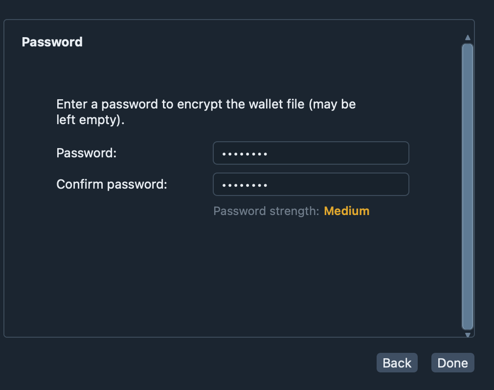 The wizard step where a password for the wallet file is chosen